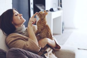 10 Perilaku kucing yang sebenarnya isyarat untuk wajib kita mengerti