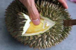 11 Tips memilih durian agar tidak kecewa saat membeli