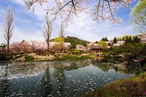 6 Tempat wisata paling populer di Korea Selatan