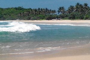 4 Pantai di Pacitan ini ombaknya cocok untuk bermain surfing