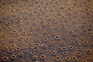 10 Potret lingkaran peri di Namibia, fenomena alam yang hebohkan dunia