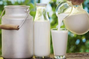 5 Alternatif pengganti susu sapi yang patut kamu coba