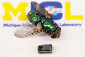 Ini fakta komputer terkecil di dunia, lebih kecil dari lalat lho