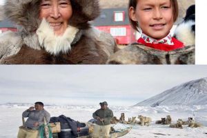 Suku Inuit, kasus evolusi tubuh manusia paling mengesankan