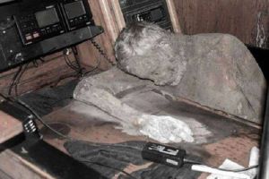 Hilang 7 tahun, tubuh pelaut ini ditemukan mengeras seperti batu