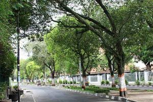 Ini 6 kota paling hijau di Indonesia