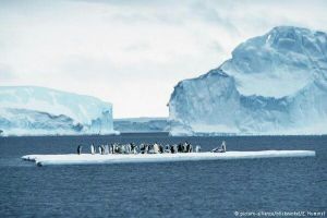 7 Hal yang tak banyak orang tahu tentang benua Antartika