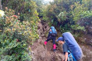 4 Kesalahan dasar yang tak boleh dilakukan saat akan mendaki gunung