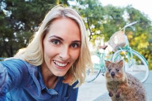 4 Fakta tentang Wombat, binatang lucu asal Australia