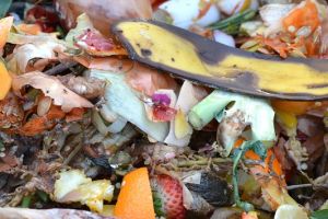 Kurangi sampah makanan layak konsumsi dengan 6 cara ini