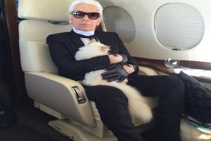 Karl Lagerfeld tutup usia, ini momen kebersamaannya dengan sang kucing