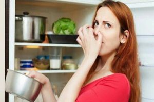 4 Bahan sederhana ini ampuh hilangkan bau dalam kulkas