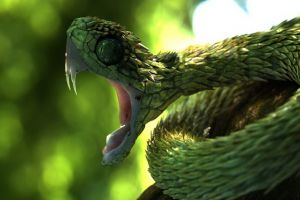 Inilah 6 jenis ular dengan bentuk paling unik dan menarik