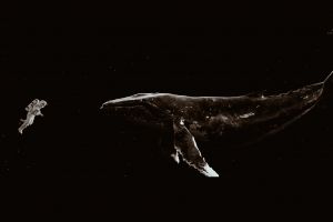 Whale 52, paus paling kesepian yang jadi inspirasi lagu BTS