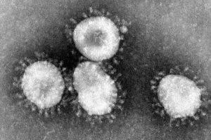 Waspada virus Corona, ini 4 cara pencegahannya