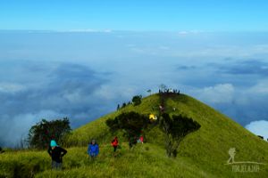 Menjelajahi sabana eksotis di Gunung Merbabu