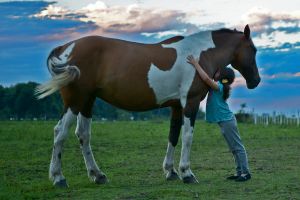 Equine-Assisted Therapy, terapi dengan bantuan kuda untuk anak autisme
