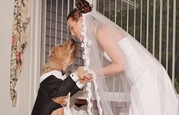 Wanita ini menikahi anjing dengan alasan yang konyol