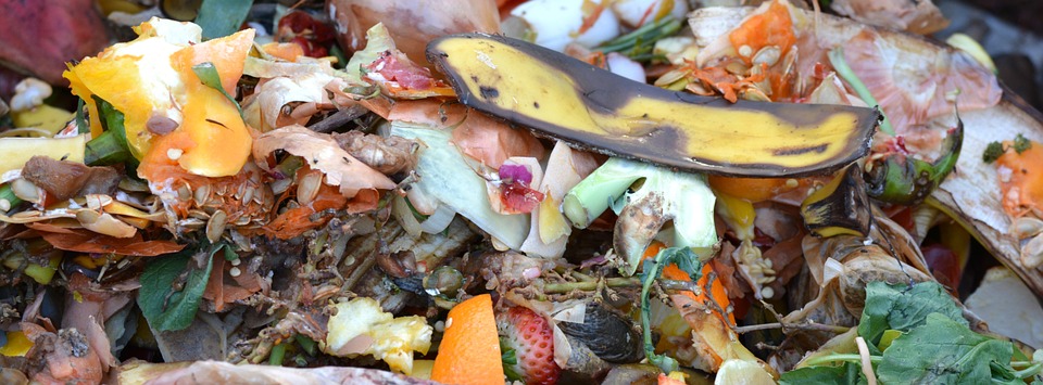 Kurangi sampah makanan layak konsumsi dengan 6 cara ini