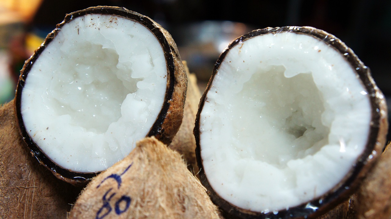 kelapa kopyor bahan utama resep es kopyor