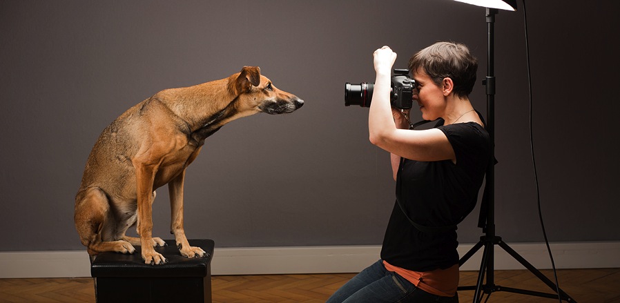 Ingin belajar jadi fotografer hewan peliharaan? Simak 5 tips ini
