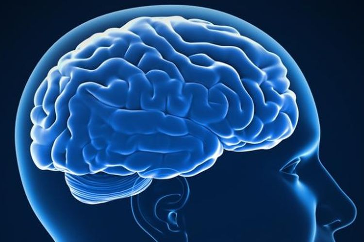  9 Trik mengasah otak agar pikiran tetap tajam dan tak cepat pikun
