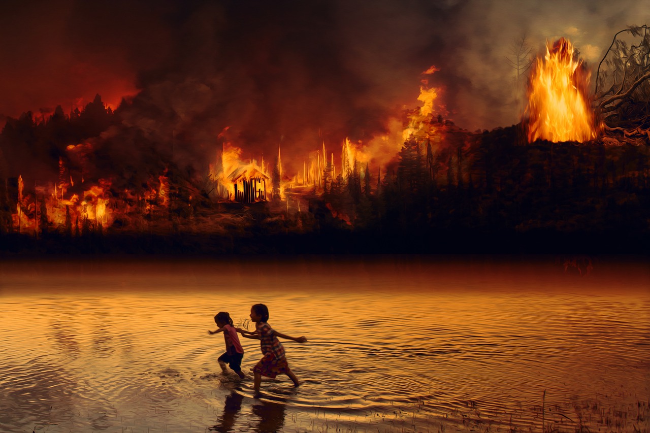 17 Cara mencegah kebakaran hutan dan lahan