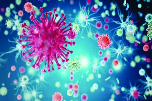 Inilah 4 Cara Penularan Virus Hiv Yang Perlu Diketahui Inilah 4 Cara Penularan Virus Hiv Yang Perlu Diketahui