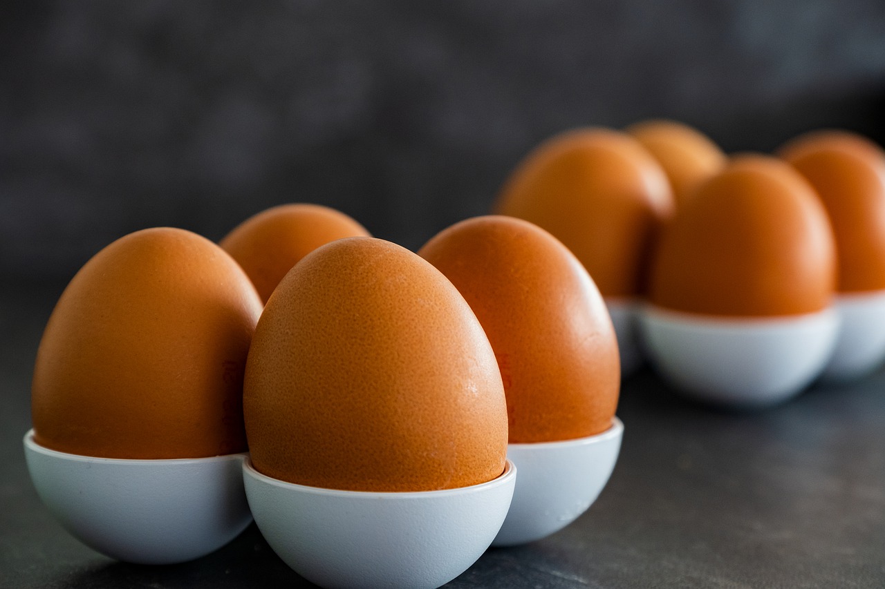 Jangan langsung dibuang, ini 4 manfaat cangkang telur bagi tanaman