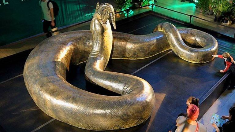 Inilah 5 keunikan Titanoboa, ular terbesar di dunia