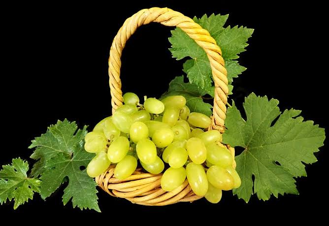 9 Fakta menarik buah anggur yang patut kamu ketahui