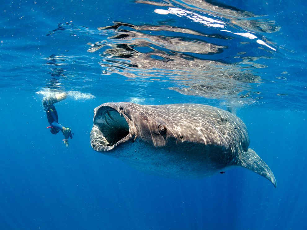 Image: travel.nationalgeograpic.com