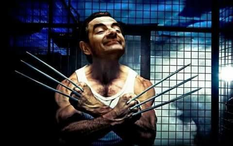 Wolverine
