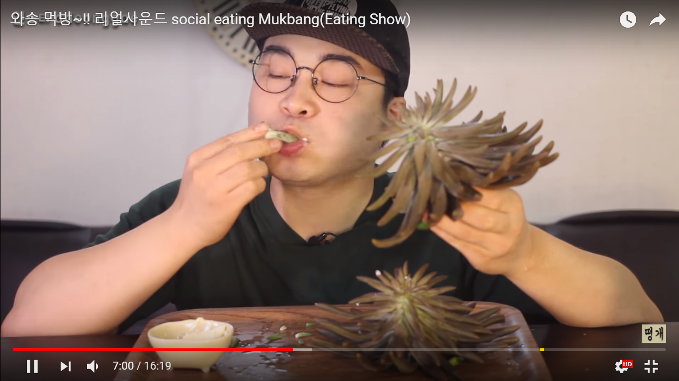 5 Gaya YouTuber mukbang asal Korea ini bikin geleng-geleng