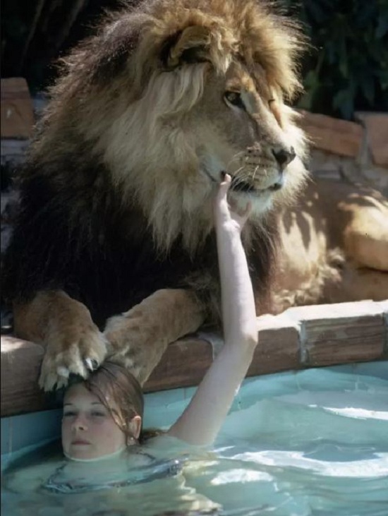 singa1