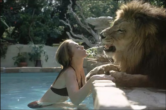 singa3