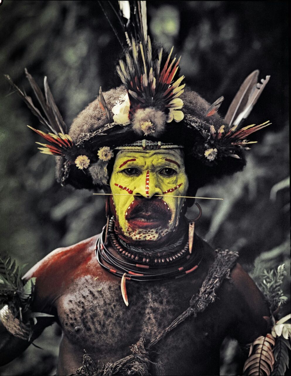 Potret langka 9 suku terancam punah dari seluruh dunia