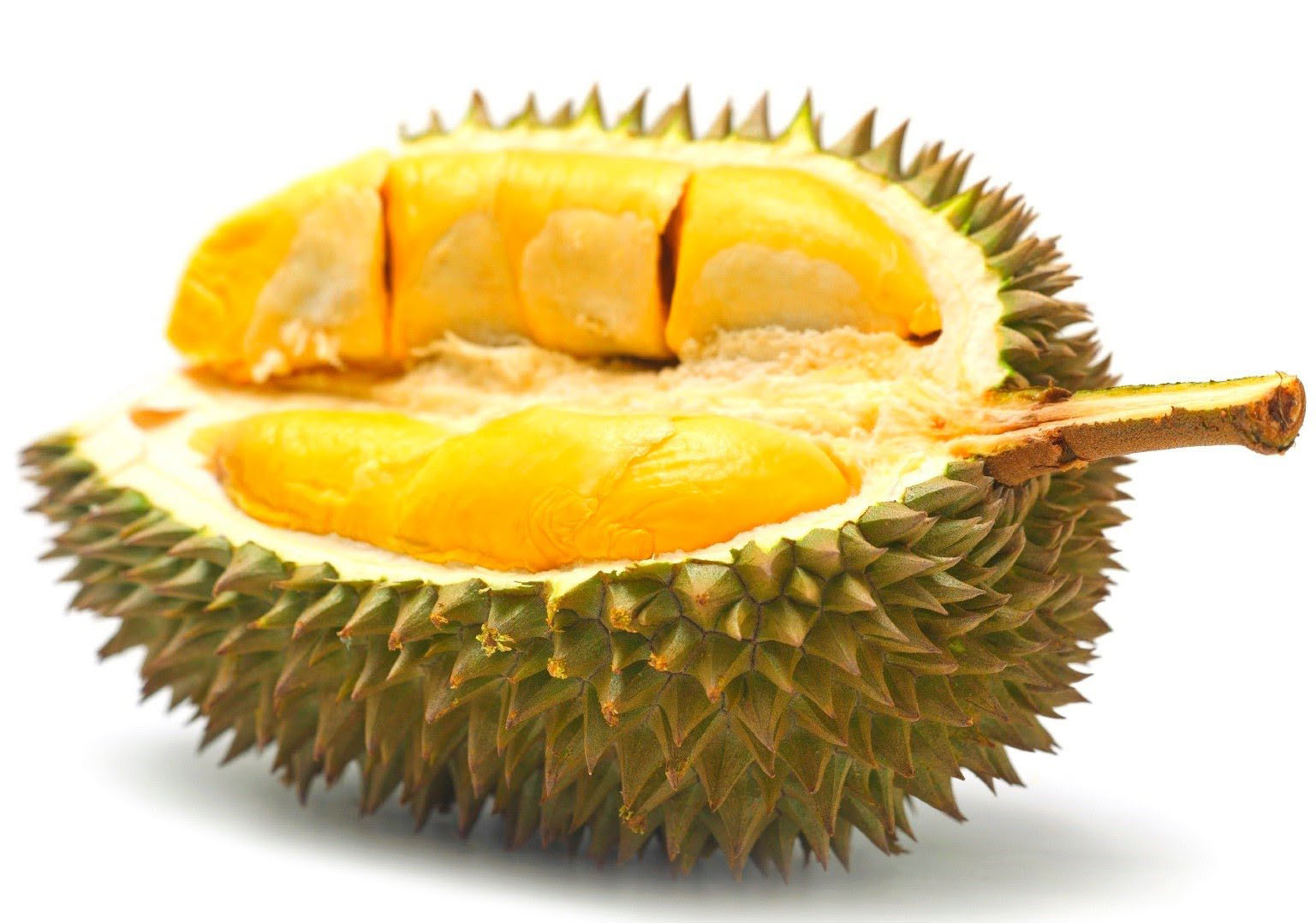 buah durian dan manfaatnya