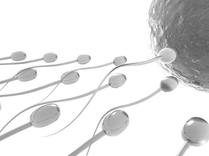 Pria dengan jumlah sperma rendah berisiko kena berbagai penyakit