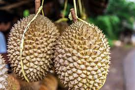 5 Manfaat kesehatan durian, buah yang kerap bikin bule jijik dan mual