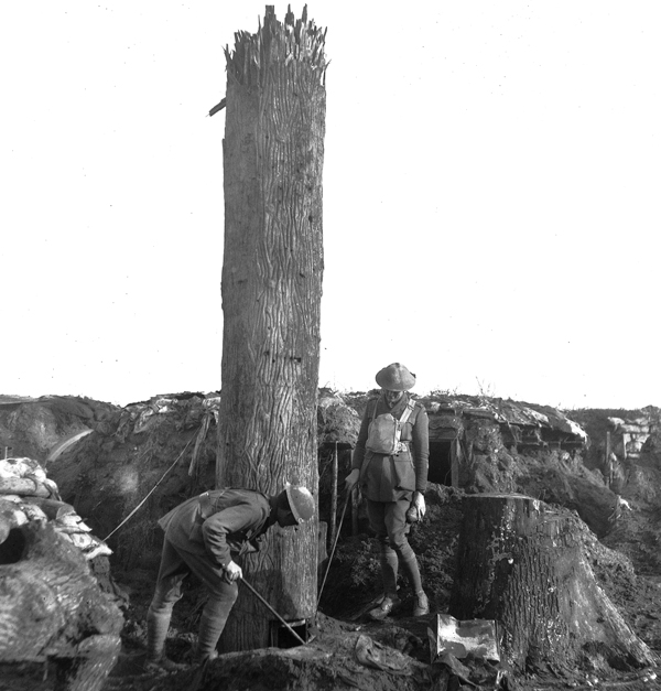 Mengenal Fake Tree, pohon paling mematikan era Perang Dunia I