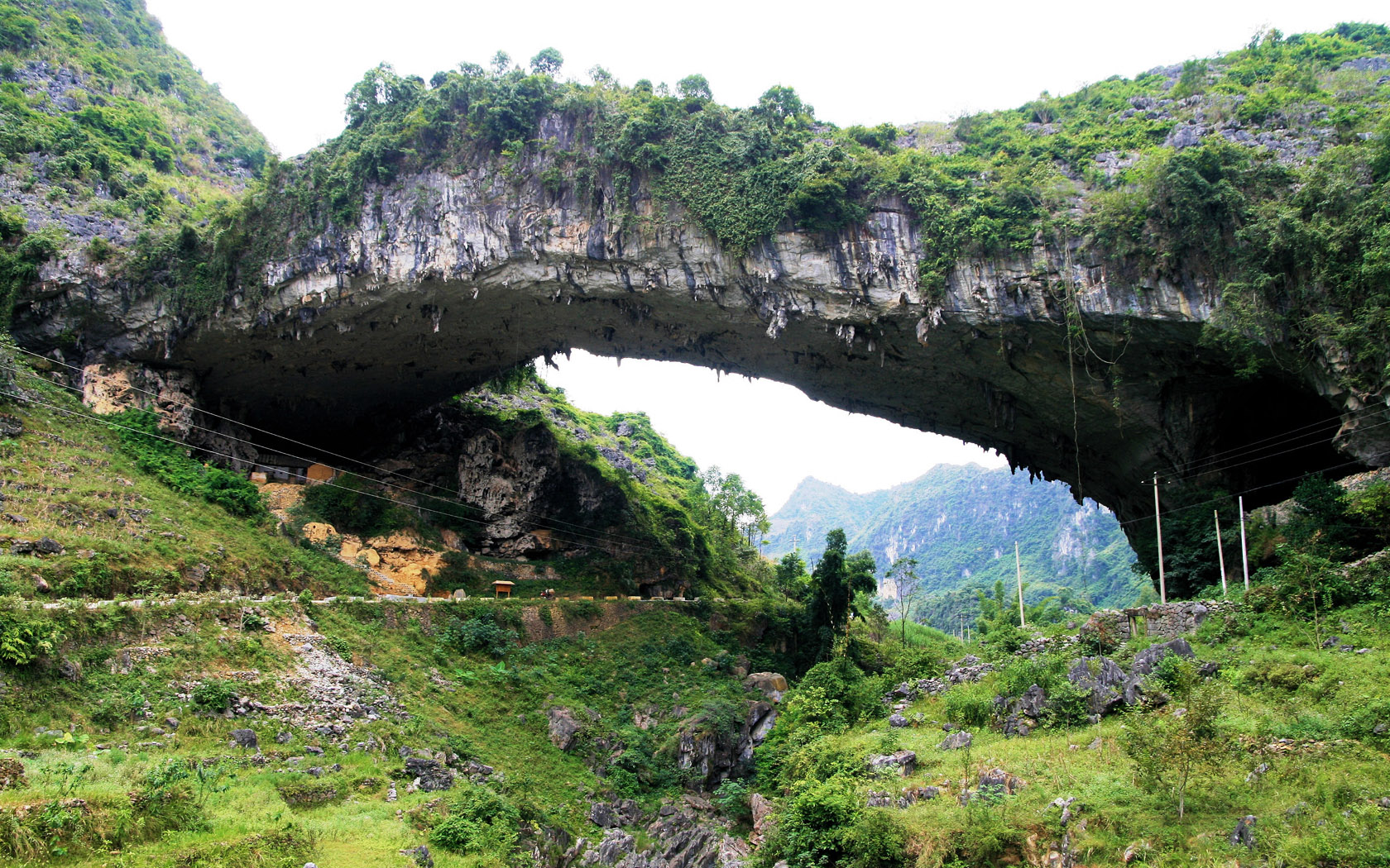 5 Jembatan menakjubkan ini terbentuk secara alami, indah banget
