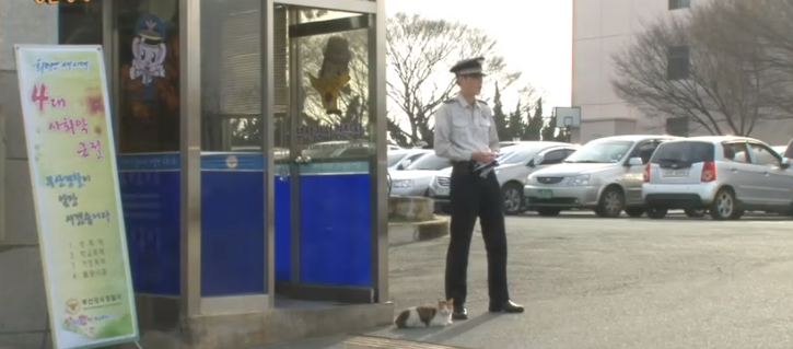 Molang, kucing yang diangkat menjadi polisi kucing