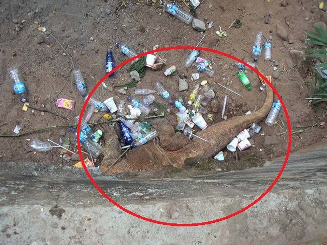 Dipenuhi sampah