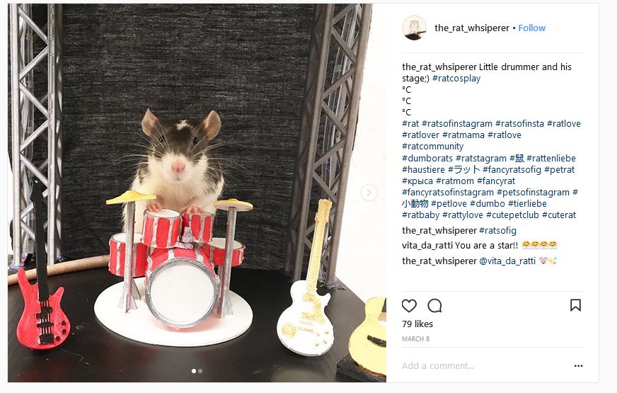 Main Drum