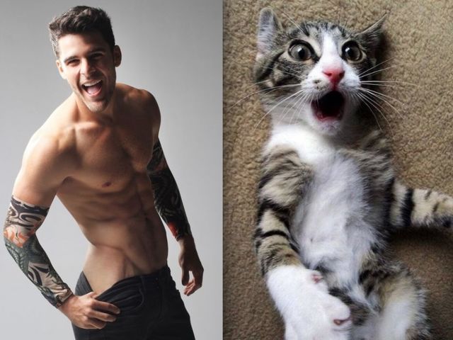 pose model vs kucing