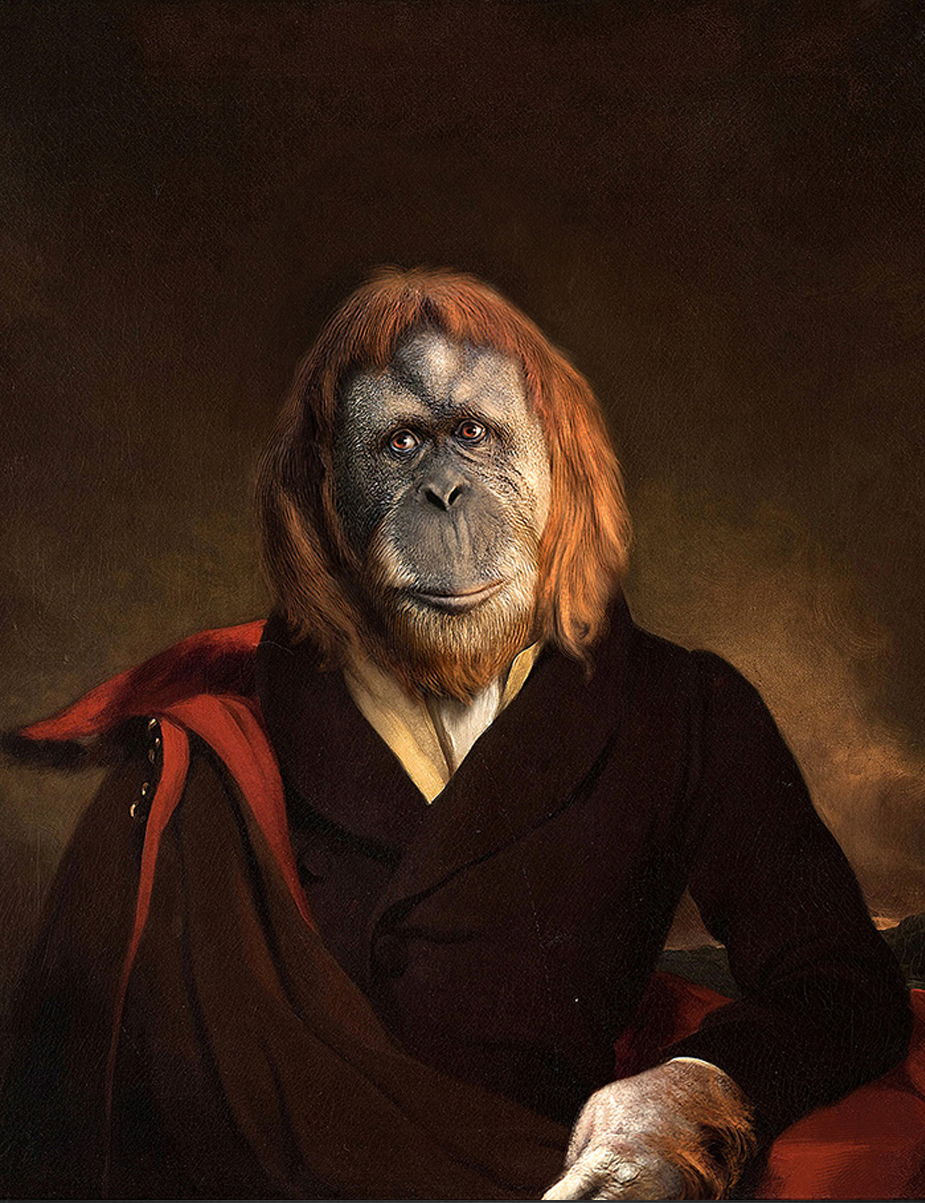 Markus Pilgrim/Mr. Orangutan