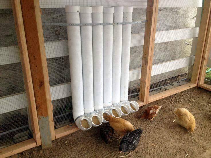 Tempat makan ayam