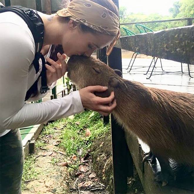 10 Momen Kapibara ini ajarkan meski beda spesies juga bisa 