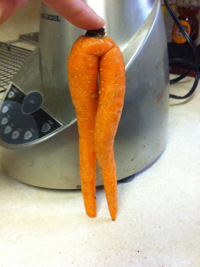 wortel seksi